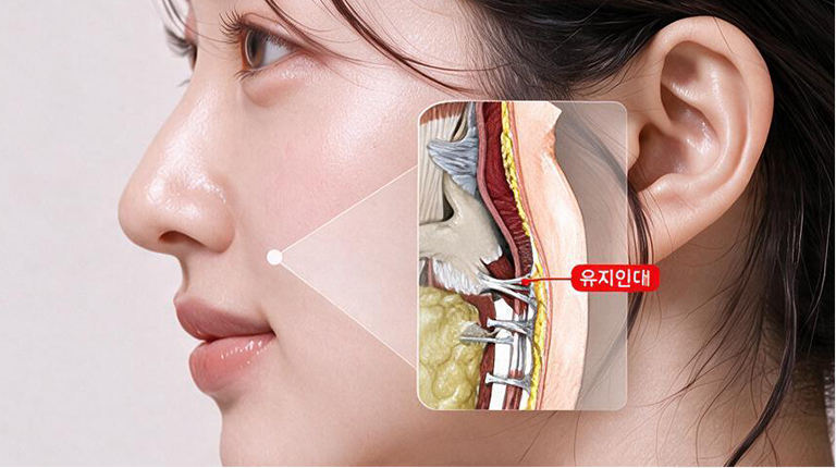 입체적 디자인 모델 이미지